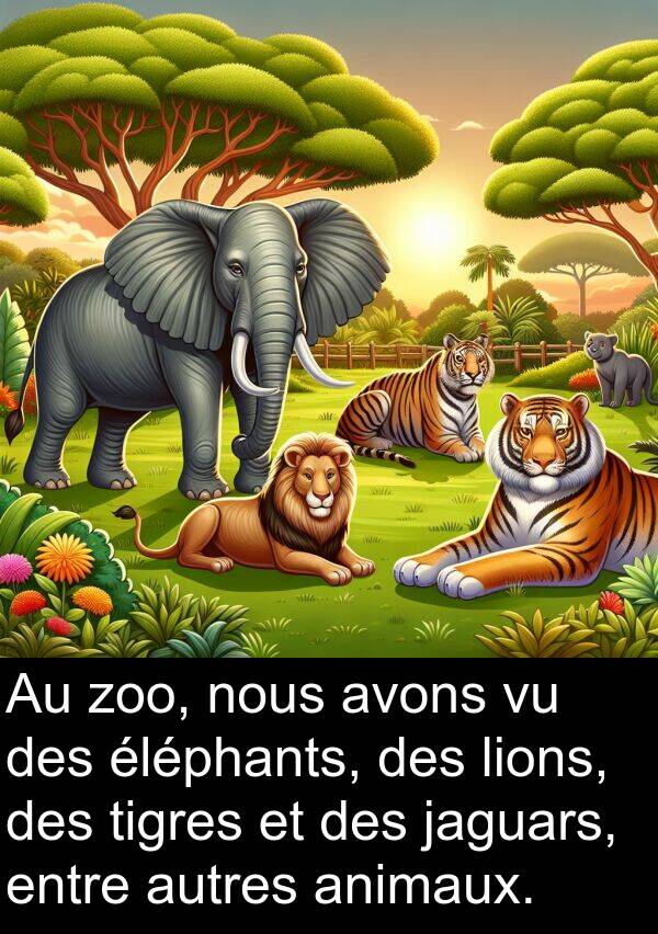 jaguars: Au zoo, nous avons vu des éléphants, des lions, des tigres et des jaguars, entre autres animaux.