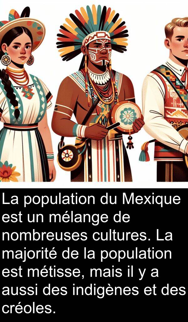 majorité: La population du Mexique est un mélange de nombreuses cultures. La majorité de la population est métisse, mais il y a aussi des indigènes et des créoles.