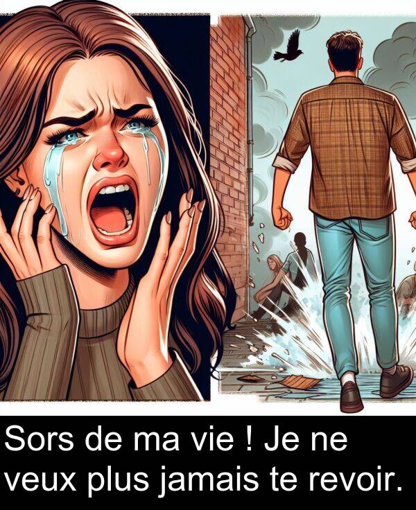 jamais: Sors de ma vie ! Je ne veux plus jamais te revoir.