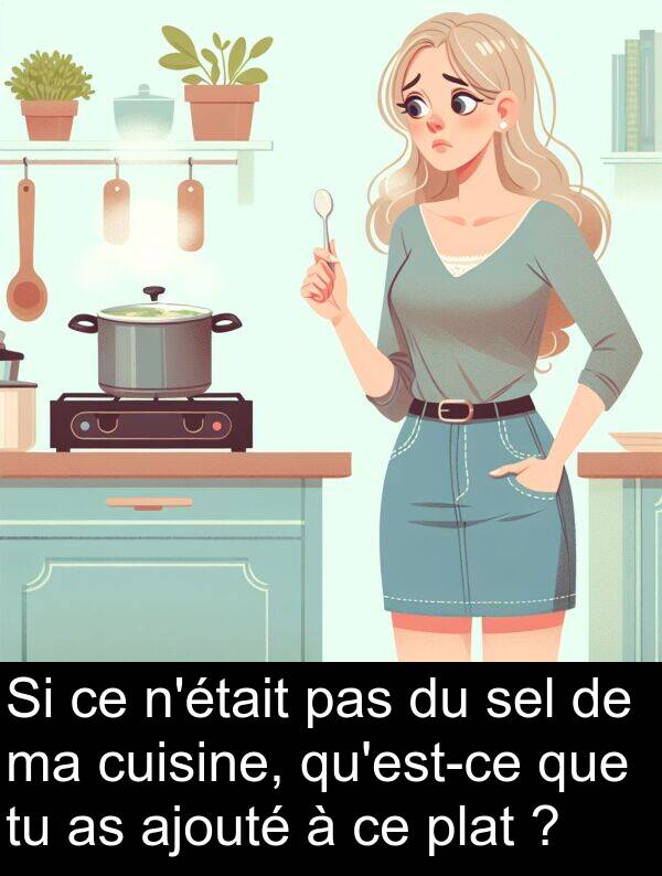 ajouté: Si ce n'était pas du sel de ma cuisine, qu'est-ce que tu as ajouté à ce plat ?