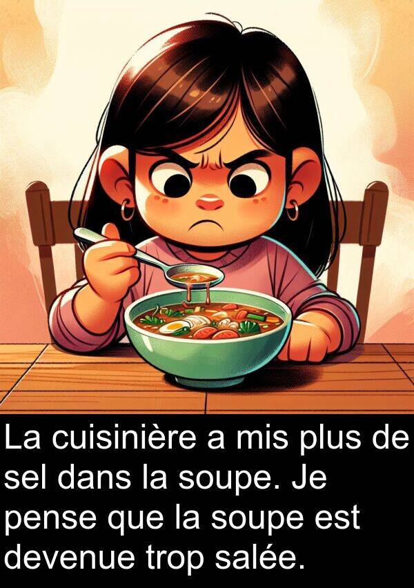 salée: La cuisinière a mis plus de sel dans la soupe. Je pense que la soupe est devenue trop salée.