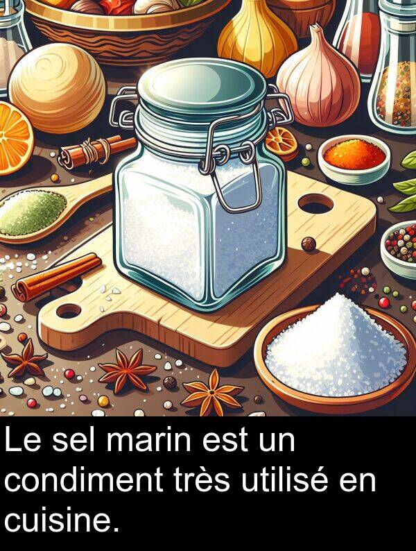 condiment: Le sel marin est un condiment très utilisé en cuisine.