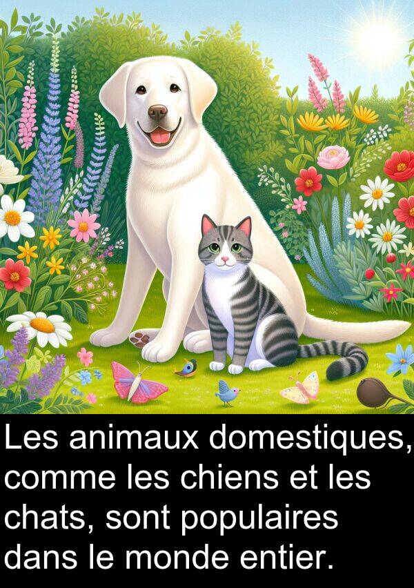 entier: Les animaux domestiques, comme les chiens et les chats, sont populaires dans le monde entier.