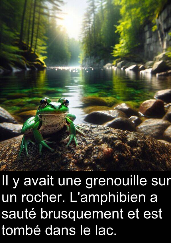lac: Il y avait une grenouille sur un rocher. L'amphibien a sauté brusquement et est tombé dans le lac.