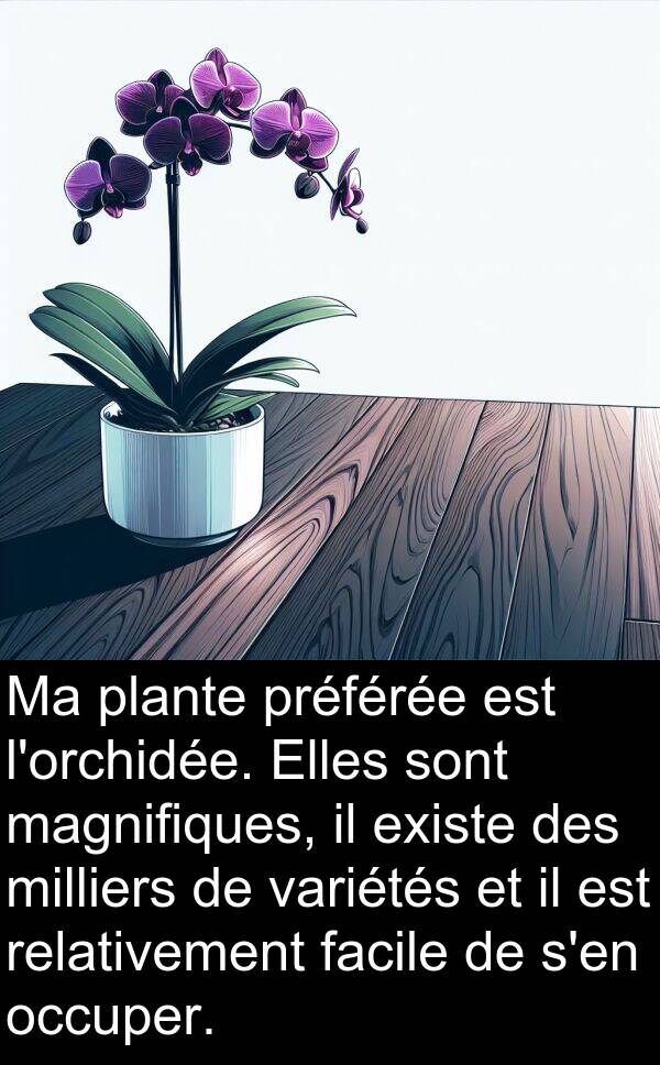 existe: Ma plante préférée est l'orchidée. Elles sont magnifiques, il existe des milliers de variétés et il est relativement facile de s'en occuper.