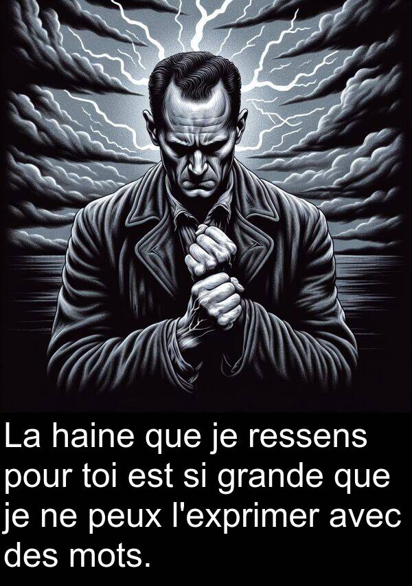 haine: La haine que je ressens pour toi est si grande que je ne peux l'exprimer avec des mots.