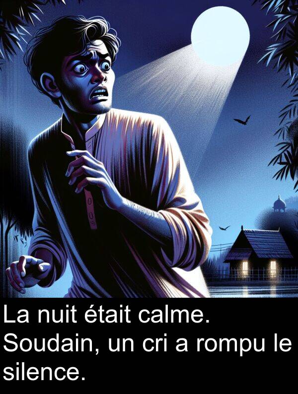 calme: La nuit était calme. Soudain, un cri a rompu le silence.