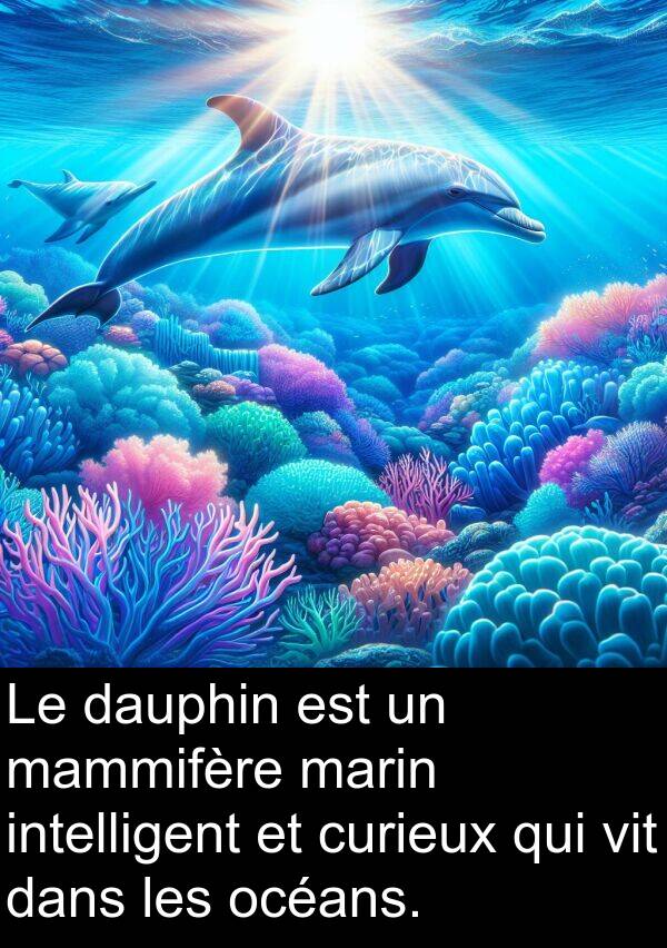 océans: Le dauphin est un mammifère marin intelligent et curieux qui vit dans les océans.