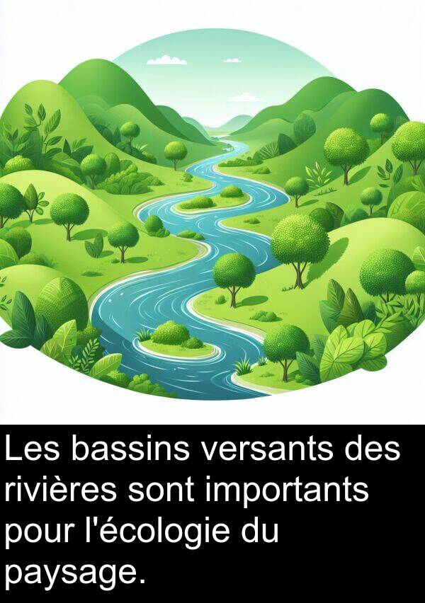 bassins: Les bassins versants des rivières sont importants pour l'écologie du paysage.