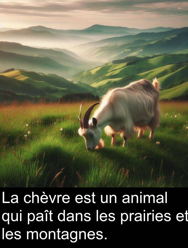 montagnes: La chèvre est un animal qui paît dans les prairies et les montagnes.