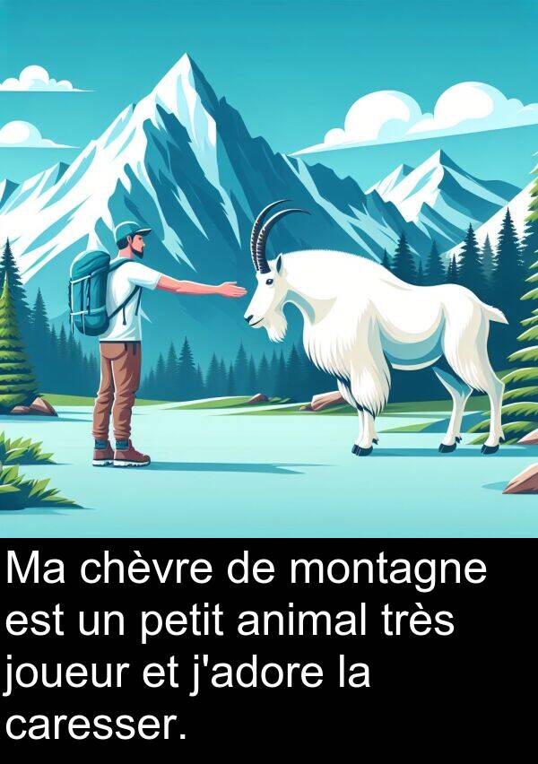 joueur: Ma chèvre de montagne est un petit animal très joueur et j'adore la caresser.