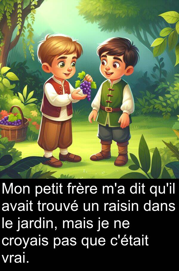 vrai: Mon petit frère m'a dit qu'il avait trouvé un raisin dans le jardin, mais je ne croyais pas que c'était vrai.