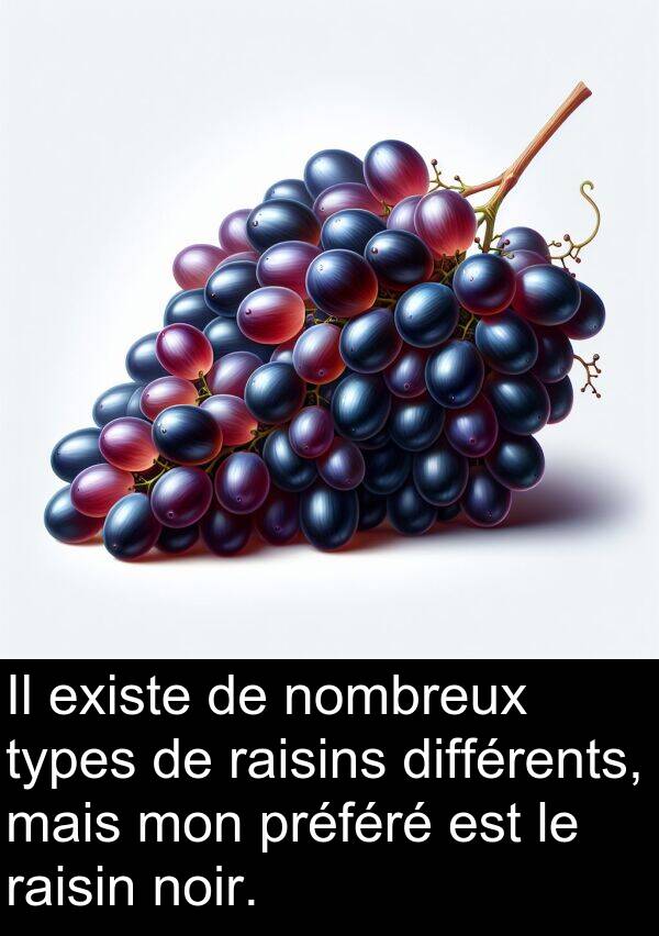 types: Il existe de nombreux types de raisins différents, mais mon préféré est le raisin noir.