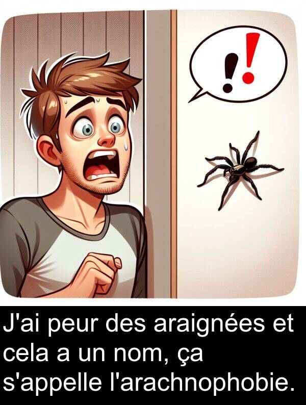 nom: J'ai peur des araignées et cela a un nom, ça s'appelle l'arachnophobie.