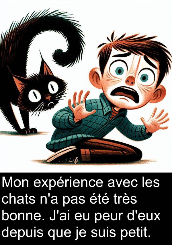 bonne: Mon expérience avec les chats n'a pas été très bonne. J'ai eu peur d'eux depuis que je suis petit.