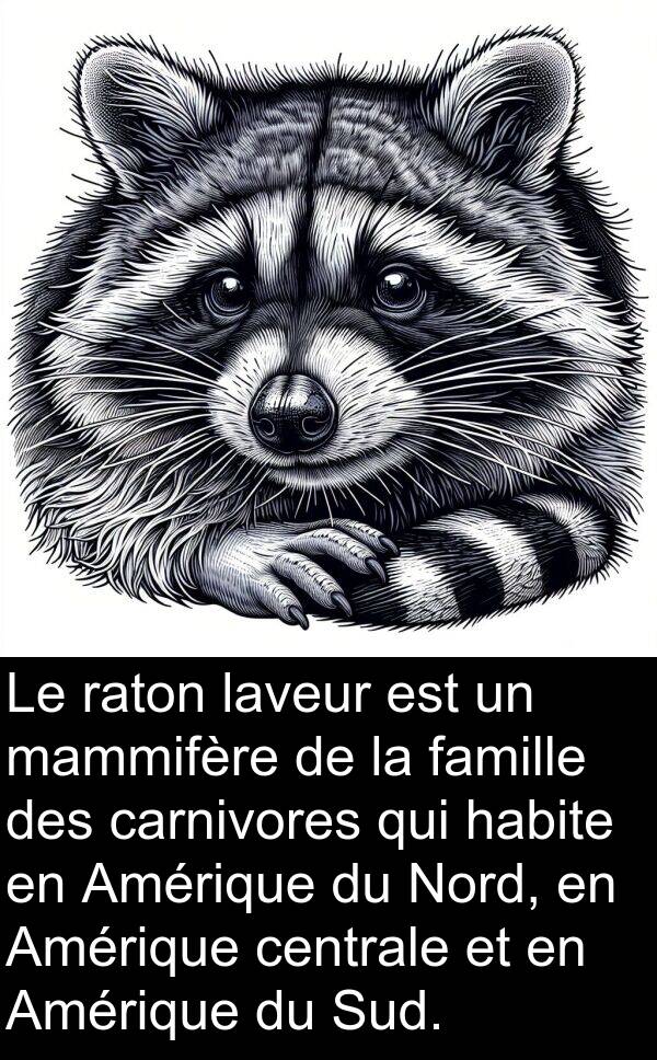 laveur: Le raton laveur est un mammifère de la famille des carnivores qui habite en Amérique du Nord, en Amérique centrale et en Amérique du Sud.