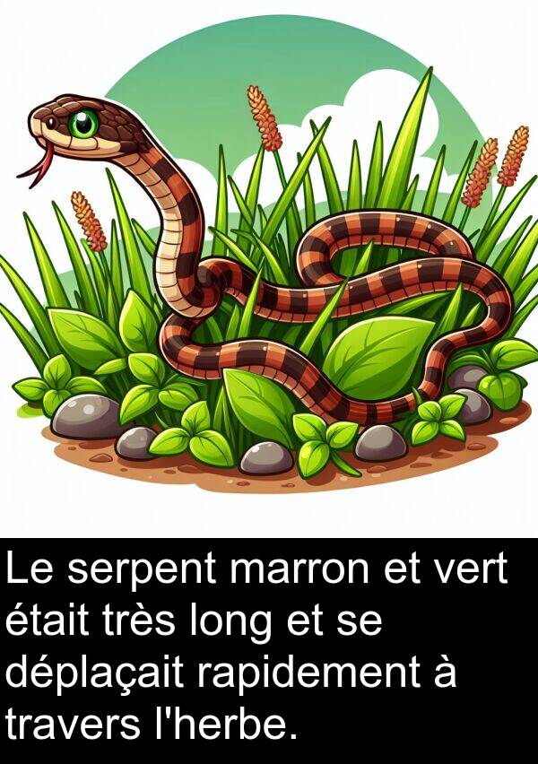 rapidement: Le serpent marron et vert était très long et se déplaçait rapidement à travers l'herbe.