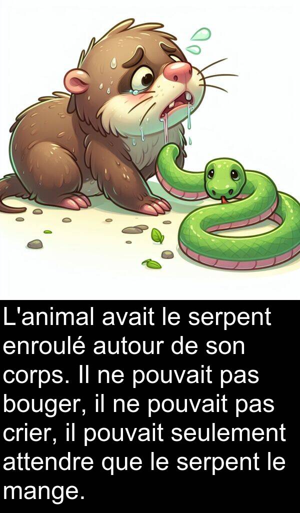 seulement: L'animal avait le serpent enroulé autour de son corps. Il ne pouvait pas bouger, il ne pouvait pas crier, il pouvait seulement attendre que le serpent le mange.
