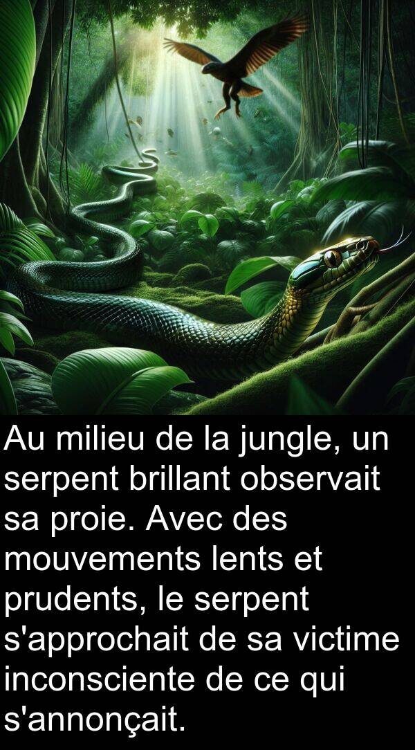 observait: Au milieu de la jungle, un serpent brillant observait sa proie. Avec des mouvements lents et prudents, le serpent s'approchait de sa victime inconsciente de ce qui s'annonçait.
