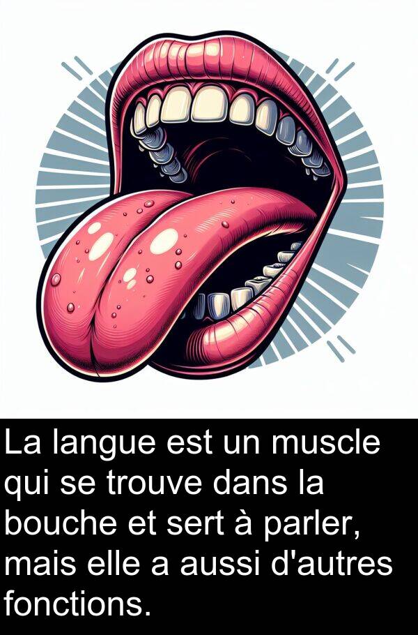 sert: La langue est un muscle qui se trouve dans la bouche et sert à parler, mais elle a aussi d'autres fonctions.