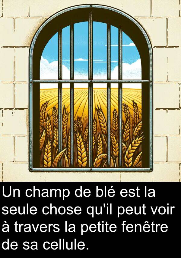 blé: Un champ de blé est la seule chose qu'il peut voir à travers la petite fenêtre de sa cellule.