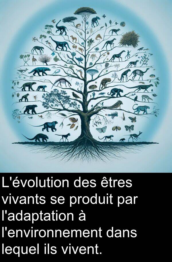 ils: L'évolution des êtres vivants se produit par l'adaptation à l'environnement dans lequel ils vivent.