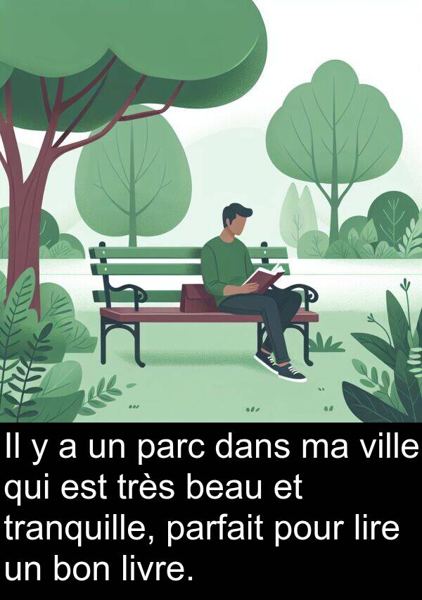 lire: Il y a un parc dans ma ville qui est très beau et tranquille, parfait pour lire un bon livre.