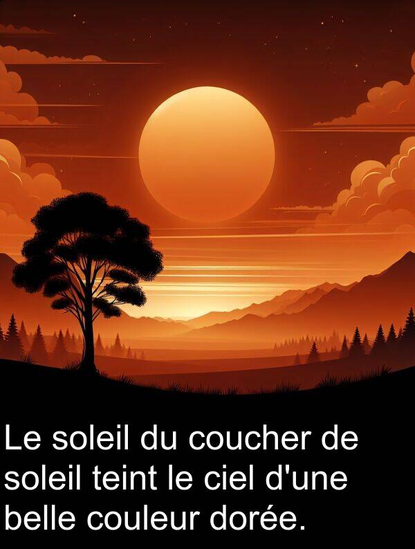 belle: Le soleil du coucher de soleil teint le ciel d'une belle couleur dorée.