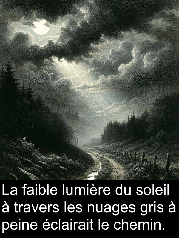 éclairait: La faible lumière du soleil à travers les nuages gris à peine éclairait le chemin.