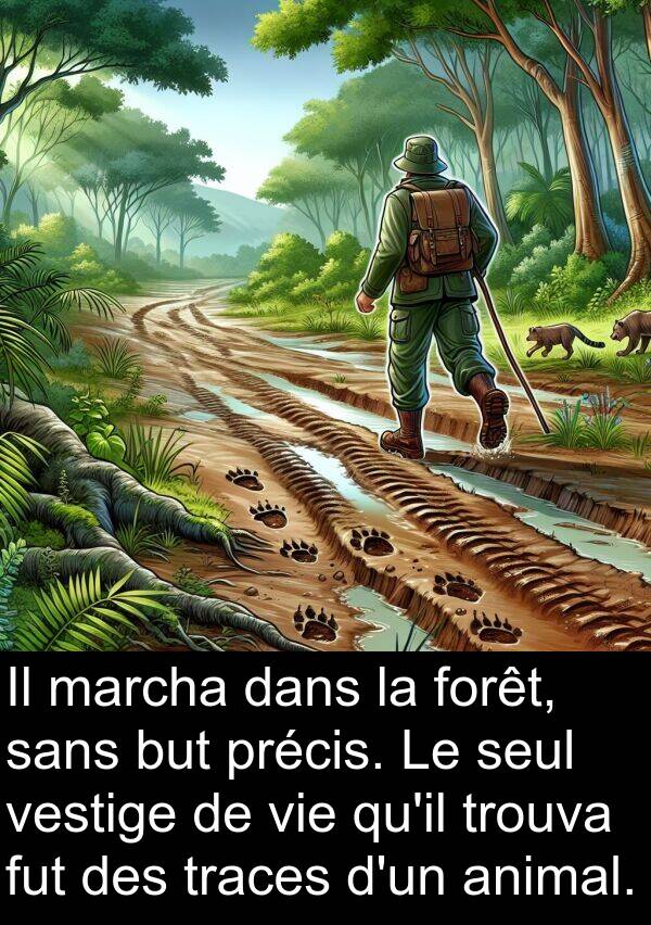 seul: Il marcha dans la forêt, sans but précis. Le seul vestige de vie qu'il trouva fut des traces d'un animal.