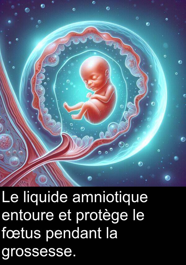 fœtus: Le liquide amniotique entoure et protège le fœtus pendant la grossesse.