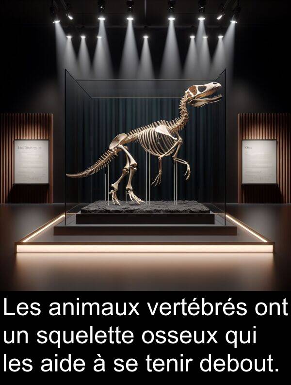 tenir: Les animaux vertébrés ont un squelette osseux qui les aide à se tenir debout.