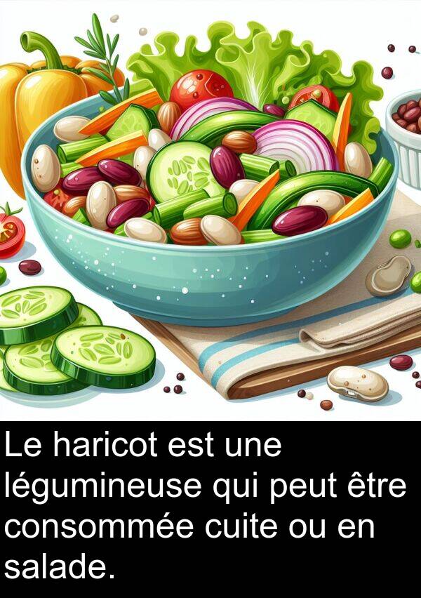 légumineuse: Le haricot est une légumineuse qui peut être consommée cuite ou en salade.