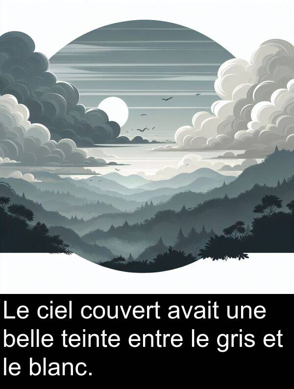 belle: Le ciel couvert avait une belle teinte entre le gris et le blanc.