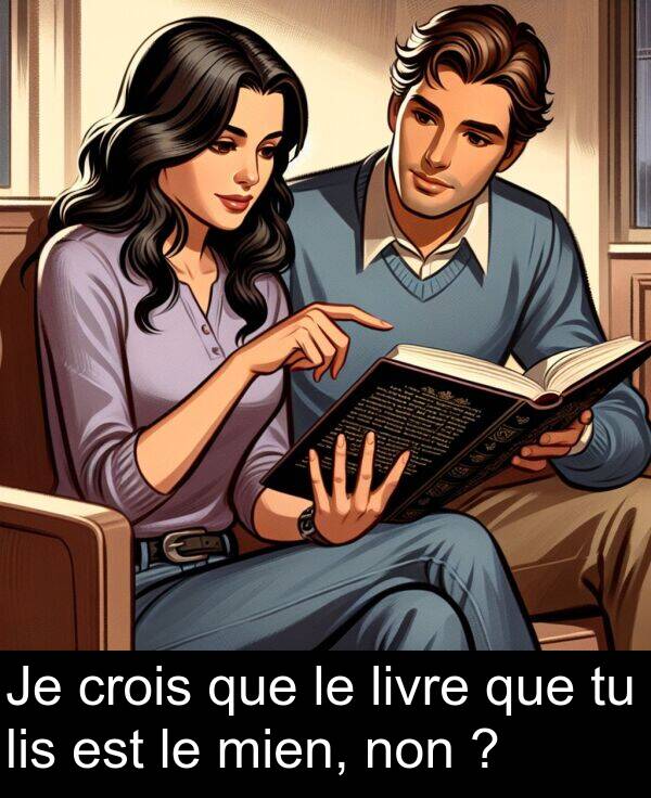 que: Je crois que le livre que tu lis est le mien, non ?