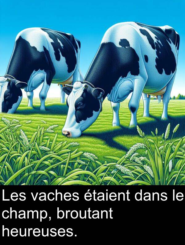 heureuses: Les vaches étaient dans le champ, broutant heureuses.