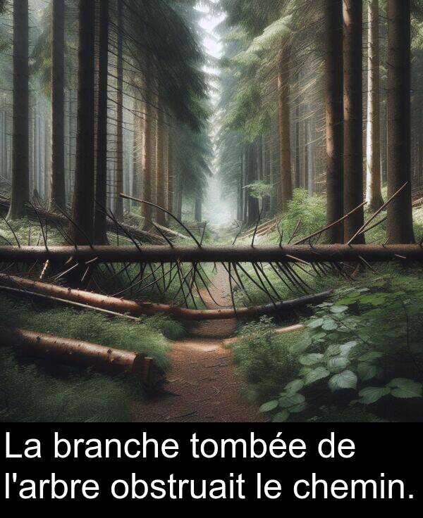 obstruait: La branche tombée de l'arbre obstruait le chemin.