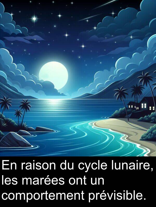 raison: En raison du cycle lunaire, les marées ont un comportement prévisible.