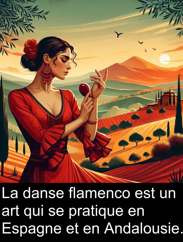 danse: La danse flamenco est un art qui se pratique en Espagne et en Andalousie.