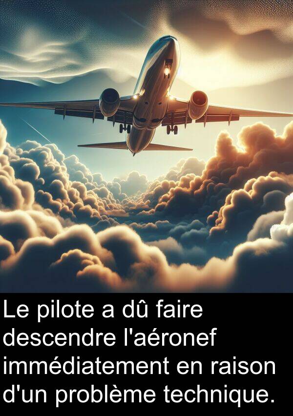 raison: Le pilote a dû faire descendre l'aéronef immédiatement en raison d'un problème technique.
