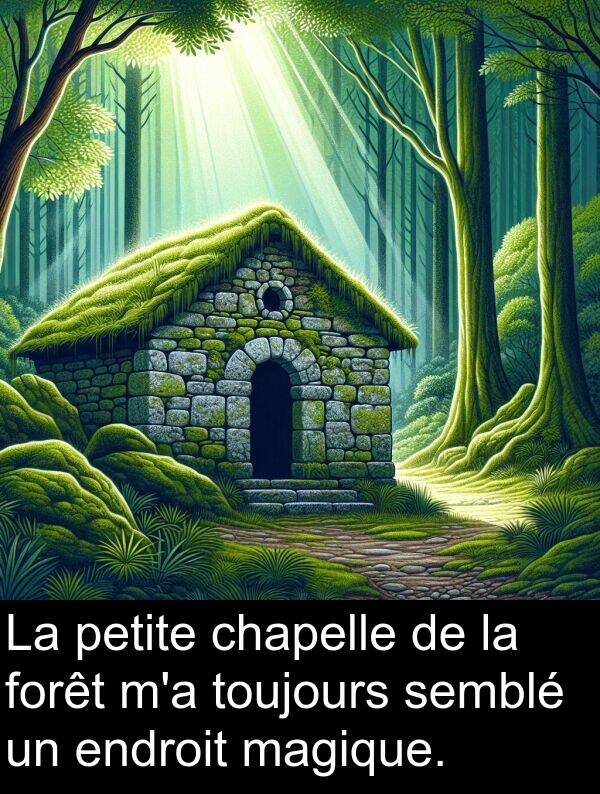 semblé: La petite chapelle de la forêt m'a toujours semblé un endroit magique.