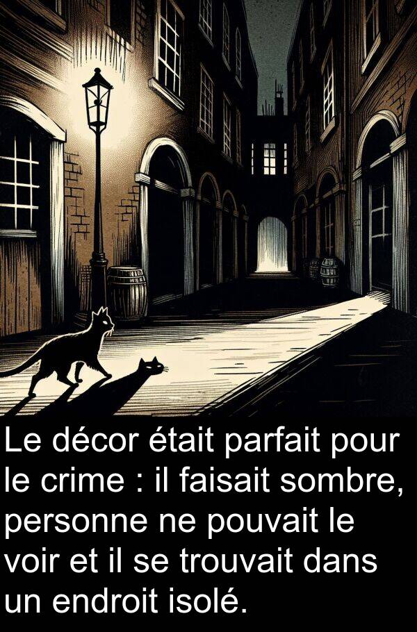 décor: Le décor était parfait pour le crime : il faisait sombre, personne ne pouvait le voir et il se trouvait dans un endroit isolé.