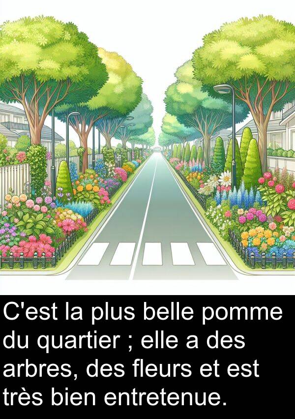 belle: C'est la plus belle pomme du quartier ; elle a des arbres, des fleurs et est très bien entretenue.