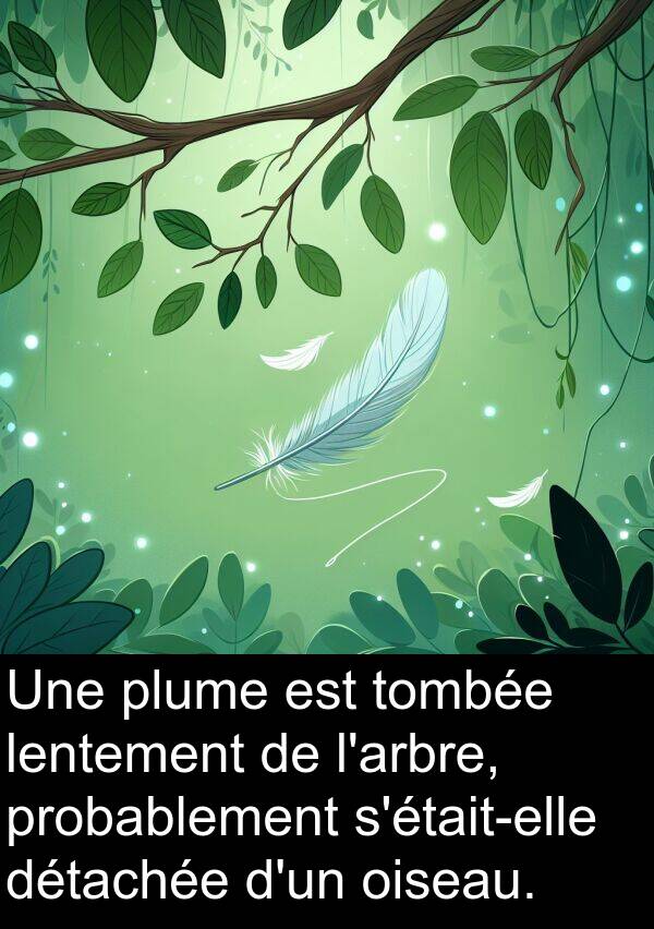 lentement: Une plume est tombée lentement de l'arbre, probablement s'était-elle détachée d'un oiseau.