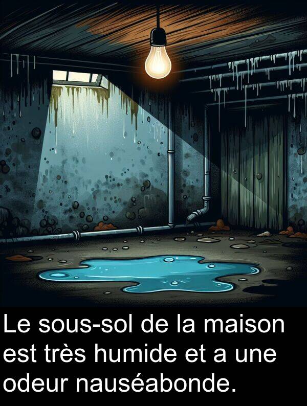 odeur: Le sous-sol de la maison est très humide et a une odeur nauséabonde.