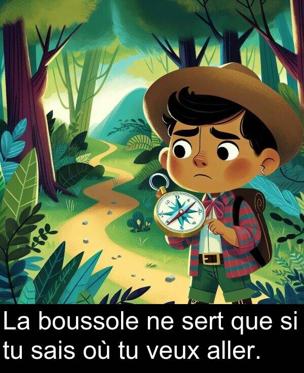 que: La boussole ne sert que si tu sais où tu veux aller.