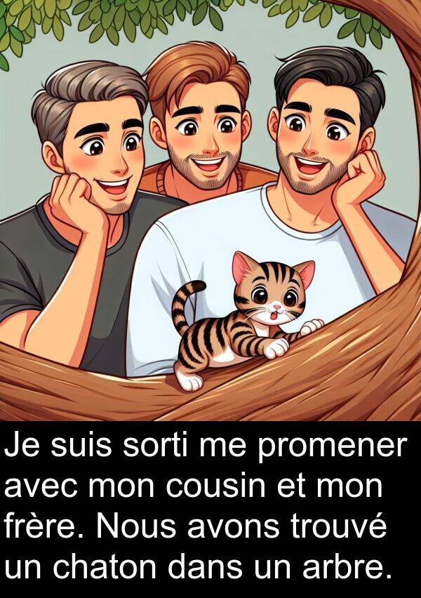 cousin: Je suis sorti me promener avec mon cousin et mon frère. Nous avons trouvé un chaton dans un arbre.