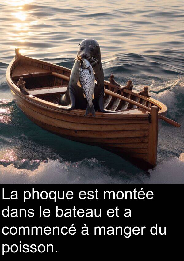 bateau: La phoque est montée dans le bateau et a commencé à manger du poisson.