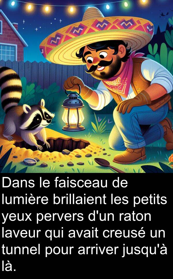 là: Dans le faisceau de lumière brillaient les petits yeux pervers d'un raton laveur qui avait creusé un tunnel pour arriver jusqu'à là.