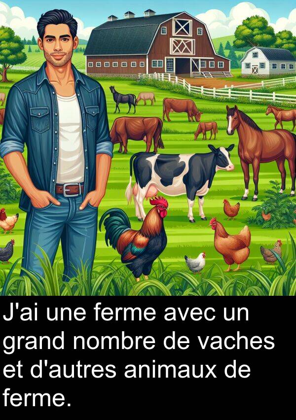 ferme: J'ai une ferme avec un grand nombre de vaches et d'autres animaux de ferme.